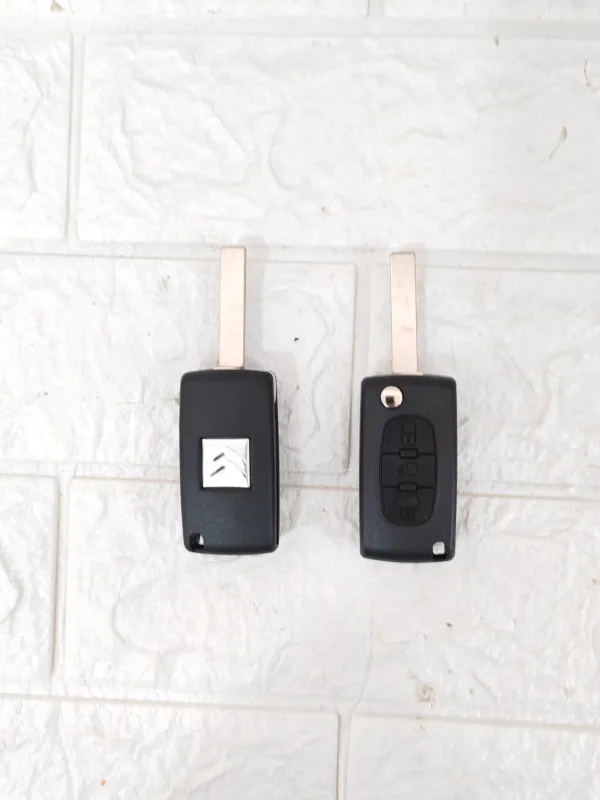 Kućište ključa 3 tastera/Citroen